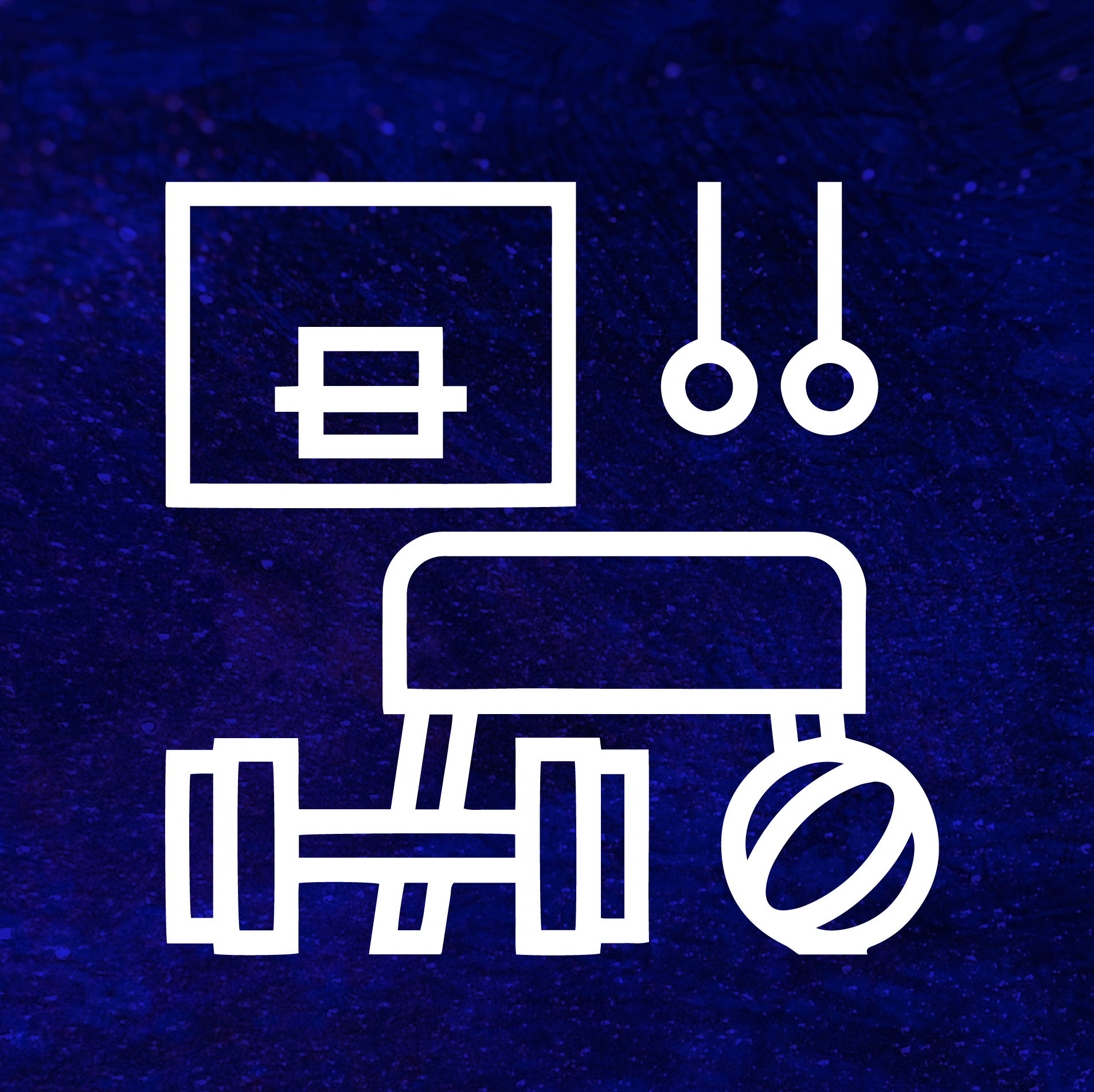 Disciplinas Deportivas